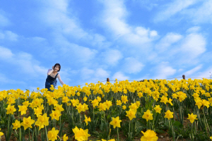 [�ڼ����� ��] ������ �ظ��̰������� ���� �ź�ο� �� ����ȭ