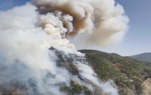 »êû¡¤Çϵ¿¿¡ ¶Ç »êºÒ¡¦8ÀÏ ÃÊ¼Ó 25£í ¾ß¼ÓÇÑ °Ç³±îÁö(Á¾ÇÕ)