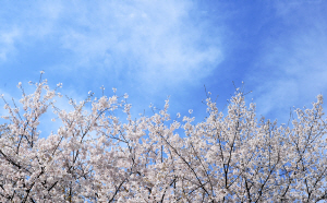 [�ڼ����� ��] ������ ���� �Ǿ�ϴ�.