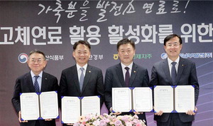 �ѱ����ι���- ����д� ���̿�������ȭ, �½ǰ��� ���̰� �������� ���� ����