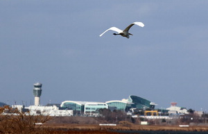 ������ ������ ���� �����浹 ����ȸ�� ���ذ��� ��å ���� ����