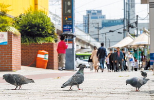 ����ö �������� ������ ����̡���������� �������� ���