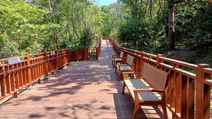 ��絵 8% ����, ���� �ްԽ��͡��̱�� ����� ���� ��å�� ����