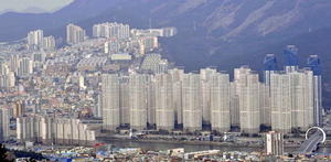 ºñ¼öµµ±Ç ºÎµ¿»ê Ȱ¼ºÈ¿£ ÇѰ衦Ãëµæ¼¼¡¤´ëÃâ ÇýÅÃÁà¾ß