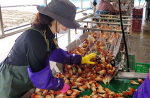 Çâ±ßÇÑ ³²ÇØ¾È ¸Û°Ô ¿ÃÇØ ù ÃâÇÏ