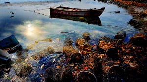 �ѱ������ڿ�����- �����ǥ ȸ���ý��� ��ȿ�� ��ȭ���ٴ�ȯ�� ȸ������������ ����