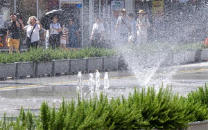 ���� ������ �λꡤ�泲 2�� ���(����)