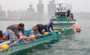 �ؿ�� ���ĸ����ܸ� �̹��� ��� ��ġ(����)