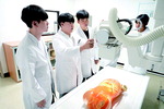  ų 70%롦ǹ缺 Ưȭ
