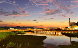 å�� �����̴� Ȳ�ݺ����ٴ��� �������������� 20�� �����մϴ�