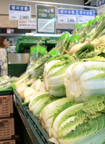 ǰ, ö յΰ 衤 47500t ߿ Ǯ