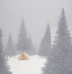 [ħ ] -Into the Story