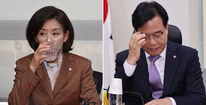 ±¹Èû ¡°Á¤Ä¡Àû Ç×°Å ¸íºÐ ÀÎÁ¤¡± ¹ÎÁÖ ¡°¹ý¿øÀÌ ±¹È¸Æø·Â ¿ëÀΡ±