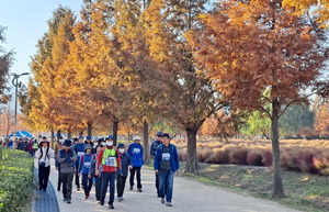 °¡À»¿£ °¥¸Ë±æ °È±â