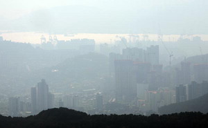 �̼������� �ڵ��� �λ�