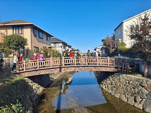 ���ֿ÷� �� ��ҳ� �ߴµ����� ��ȭ ������ ���ٸ� ����