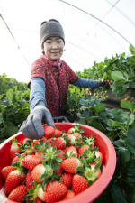 [���䴺��] ������ ���� ����, ���ݽǡ� ���� ��Ȯ