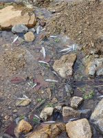 ������ ����õ ������ ���� ��硦�ֹ� ��ȯ�� ���� ���ѷ��ߡ�