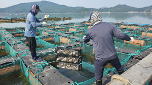 ������� ��ĩ�Ÿ� ����, ��ҵ� ��