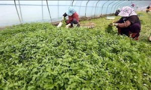 8�� �� ã�� �����̳������� ���� ����