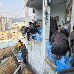 �λ�����, ���尭���ǽɰ��� �ְ�ȯ�� ���� ��� �ǽ�