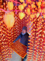 [���䴺��]�Ծ������ ���� ���ÿ�