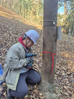 ���� ��� ���� ǳ��� �ϵ� �볪�� ���� ����