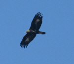 õ����买���� ��������߻����� ������ �˵����� ��꿡�� �߰�