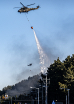 �ο�� �� ��� ��������溸 ����衯�� �ݻ�1������ ó��