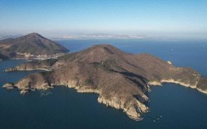 ���Ǽ�, �������Ű��� ���� ���� ���翡 �ٽ� ������