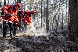 ��� �������� ��̻� ��, 16�ð� ���� ����(����)'