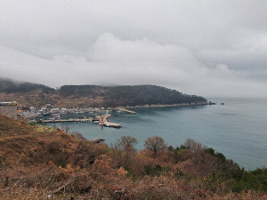 �������Ű��� �����Ǽ� ���ҡ��� ���ǰ�� ����