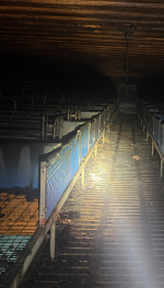 ��û �������弭 �ҡ� 189���� ���