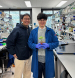 �������� �ݶ�������� �Ǿ�ǰ ����� ��ź��