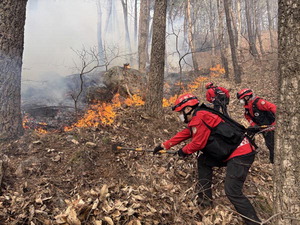 �����ѵ� ��ǳ�������Ծ� �� �ָ� 16�� ���ôٹ� ���(����)