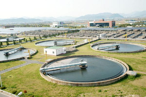 ���� ���̿�����ȭ�ü� ���� ��3�߰���