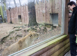 �� ��������ũ, �ø� ������ �ȴ�