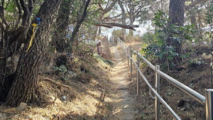 �� ���� �����������߱��� ������ �����