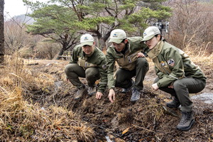 13�� �η�, 33�� ���ꡦ�ü����� ����