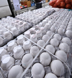 ���ǰ��, ��� ���� ���� ���� �ܱ� �ż��� 471�� �� �߰� ����