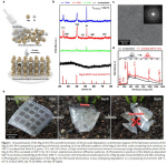 �����ΰ�� ������ ����, ģȯ�� �ݵ�ü���ʰ����� ���� ���� ���ָ�