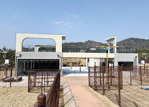 ������ �ݷ��������� �� �ִ� ���� �����ũ ���� �ù��