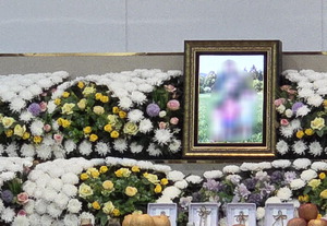 �ڳ� ���� �� �شܼ��� ���������θ� ������ �ƴϴ١�(����)