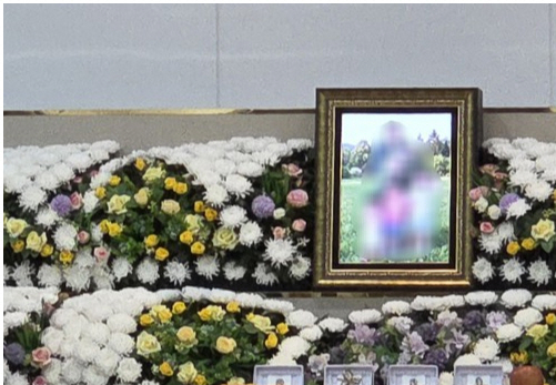 [�����] �ڳ� ���� �� �ش� ���� ���������θ� ������ �ƴϴ١�