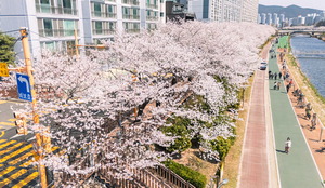 2~7�� ���� ã�ƿ� ���� �ҽġ��λ�泲 ȭ���� �������� ������(����)