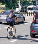 [�������� �Ź� �б�] ���� ������ ���� ����, �ѹ� ����� �����