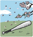 [��û����] ����, �̹��� �ٸ���