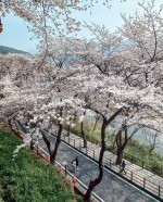 �ϵ� ȭ������ ��������, 8�� 8000�� �� �߱�