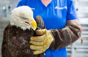 �λ��, �ܱ��� �������� ���λ�� ���� ����