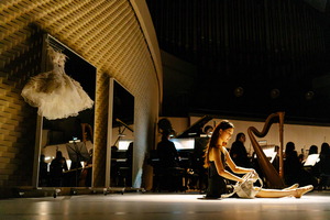 ���� �� ������ �����Ρ����������� ���λ� �߷���